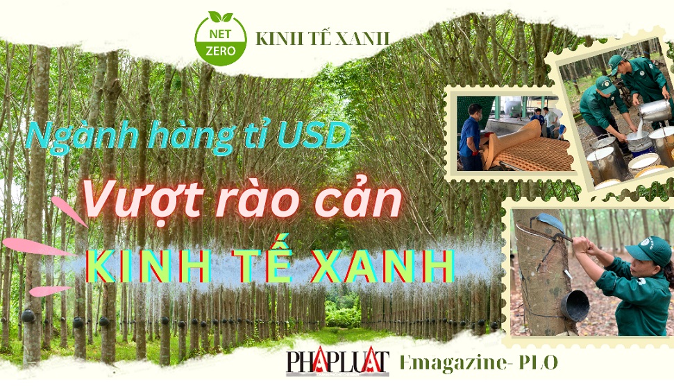 CAO SU PHÁT TRIỂN KINH TẾ TUẦN HOÀN - BÀI 2 - Ngành cao su vượt qua rào cản chuyển đổi kinh tế xanh